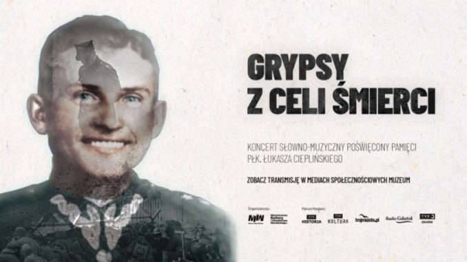 Grypsy _IMG_""