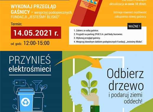 Zasadz drzewo _IMG_""
